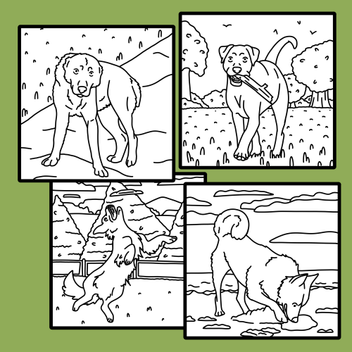 Run With Dogs #2
